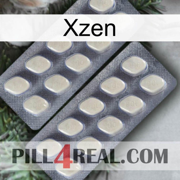 Xzen 07